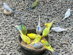 -维乐口腔医院(福清院)