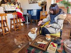 -陶野咖啡·面包披萨