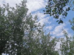 -白鹭湾湿地公园