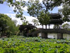 -韩湘水博园