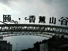 -紫颐香薰山谷景区
