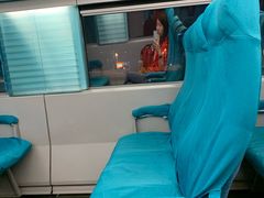 -龙阳路磁悬浮列车总站-停车场