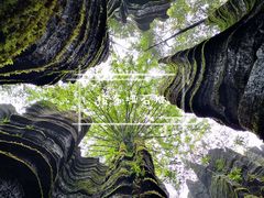 -梭布垭石林景区