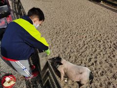 -前小桔亲子创意农场·草莓采摘·露营烧烤