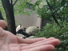 -邓记新一代糖油果子(四川煤管局供销公司职工宿舍店)