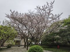 -浙江省博物馆(孤山馆区)
