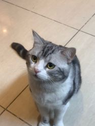 -长沙纹身· 龙堂刺青·三土师傅的店