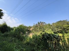 -青龙山国家森林公园