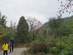 -石门坊