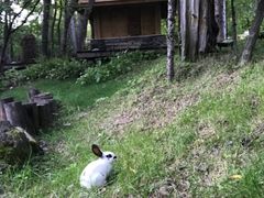 -长白山聚龙火山温泉