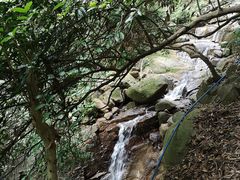 -火炉山森林公园
