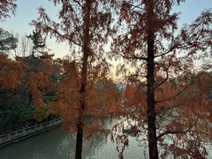 -汇龙潭
