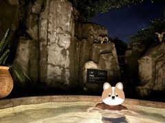 -海口观澜湖火山温泉谷