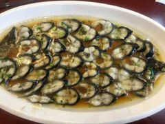 -呼吸森林·生态农庄农家乐私房菜