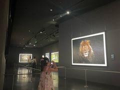 -罗红摄影艺术馆