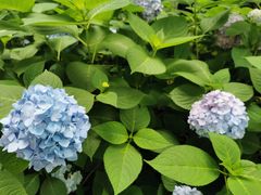 -常州古运河南大街文化旅游区-人民公园