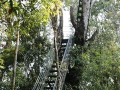 -云南屏边大围山国家公园