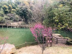 -宝岩生态观光园