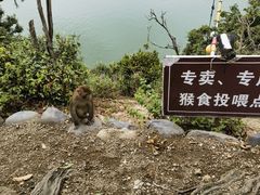 -黄山太平湖风景区