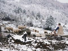 -硗碛藏寨·神木垒景区