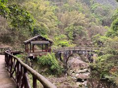 -泽雅七瀑涧景区