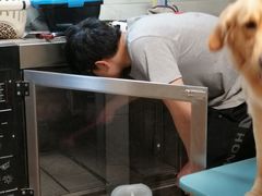 -喵汪宠物生活馆(涞坊路店)