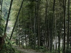 -MOJ coffee(瓯海泽雅水碓坑店)