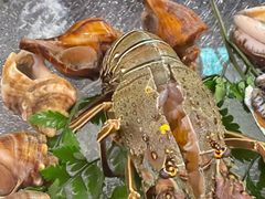 -白仁仔· 活烤海鲜 宵夜(豫园店)