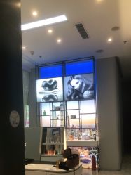 -Mr.JUDY洗个头发