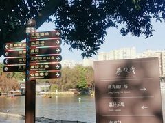 -荔湾湖公园