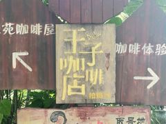 -兴隆隆苑咖啡庄园