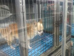 -乐宠宠物店(世纪金源店)