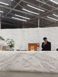 -BOF HAIR BY HONTO