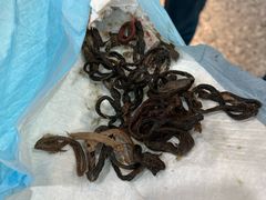 -萌兽医馆·绝育·24小时内科·宠物医院(德胜店)
