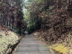 -缙云山景区