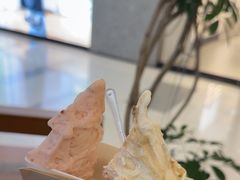 -野人先生Gelato(上海长宁龙之梦店)