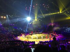 -珠海横琴长隆《卡卡虎奇遇记》