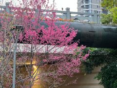 -牛岗山公园