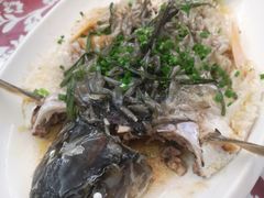 -鹭岛新泉客家菜·海鲜·融合菜(莲前店)