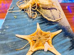 鲜人参锅底-千岛蚝高压锅生蚝·人参火锅(白云万达店)