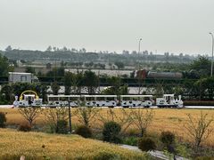 -杭州湾海上花田景区