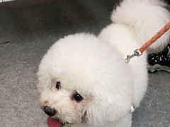 -安安宠医·安宠宠物医院