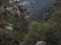 -庐山风景区花径公园