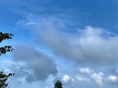 -武陵山森林公园