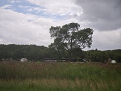 -嘉北郊野公园
