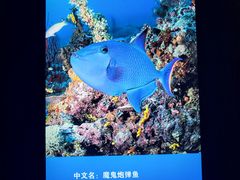 -厦门海底世界