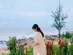 -广东惠东海龟国家级自然保护区