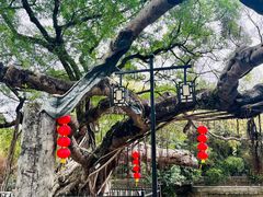 -小洲村
