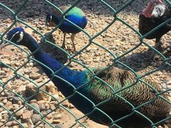 -南京金牛湖风景区