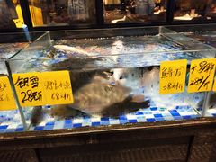 -老伙记海鲜码头(北滘店)